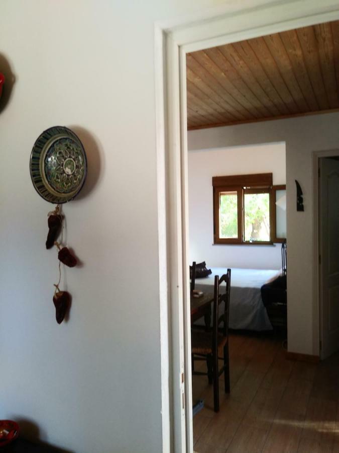 Casinha Do Sul Villa Faro Luaran gambar