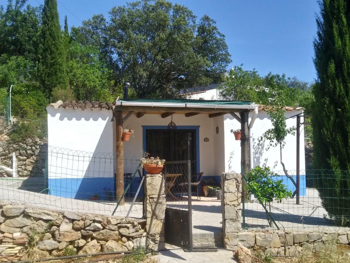 Casinha Do Sul Villa Faro Luaran gambar